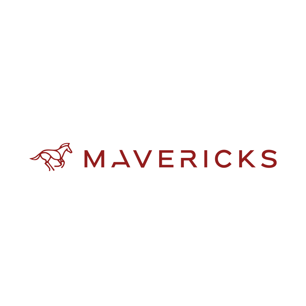 Meenakshi Mavericks logo